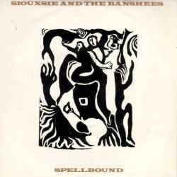 Siouxsie And The Banshees : Spellbound